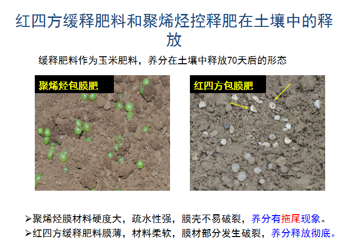 精东视频APP下载入口缓释肥释放肥效展示
