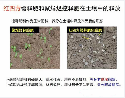 精东视频APP下载入口缓释肥在土壤释放的对比实验图