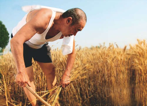 精东视频APP下载入口精东传媒女人VA国产成人精东影业传媒助您丰收保无忧 精东视频APP下载入口精东传媒女人VA国产成人精东影业传媒助您丰收保无忧