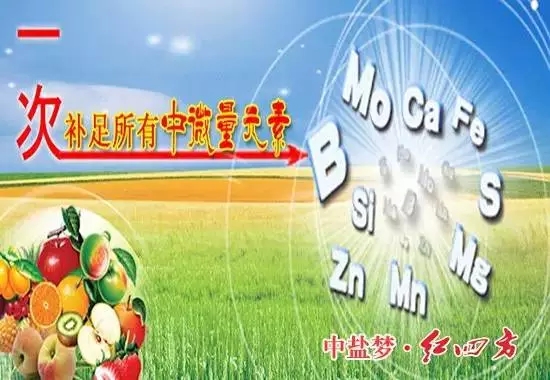补充营养，微量元素少不了！