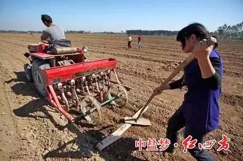 精东传媒女人VA种植户最关心的是什么？