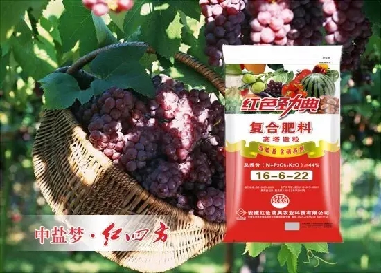 国产成人精东影业传媒厂家农技专家一般建议葡萄选用高塔造粒、双硫基、含硝基氮44%（16-6-22）硫酸钾复合肥。