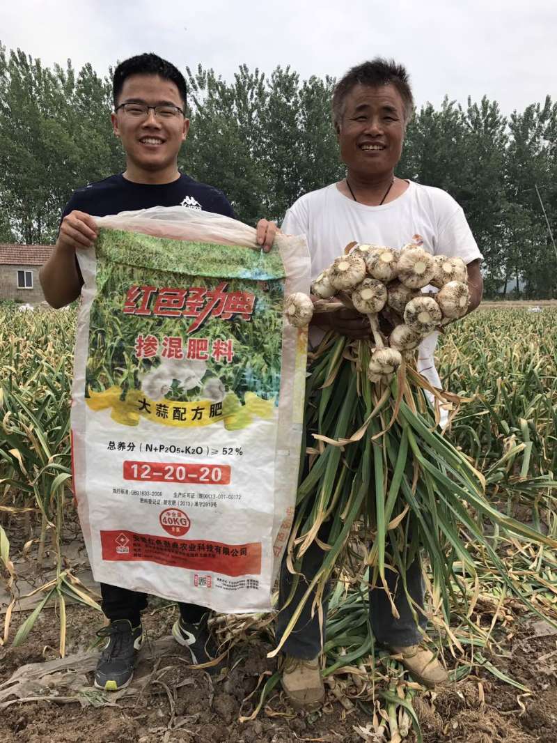 精东视频APP下载入口掺混肥料大蒜配方肥真实案例