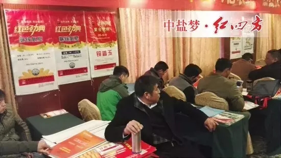 今年年初我已和代理商李经理制定计划，全年销售目标1000吨，各项工作必须有条不紊的进行，做到有计划、有目标的落实，才能走得更好更远！