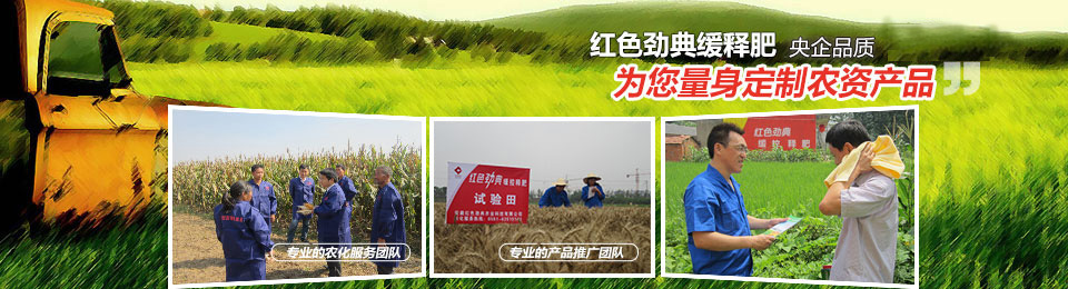 精东视频APP下载入口，冠军品质，五星服务